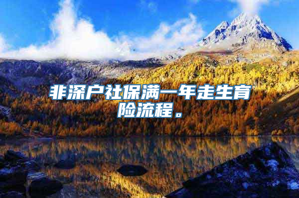 非深户社保满一年走生育险流程。