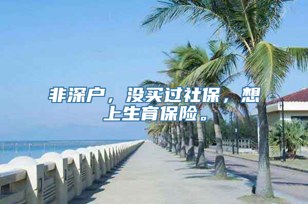 非深户，没买过社保，想上生育保险。