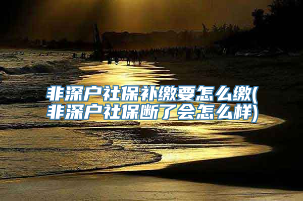 非深户社保补缴要怎么缴(非深户社保断了会怎么样)