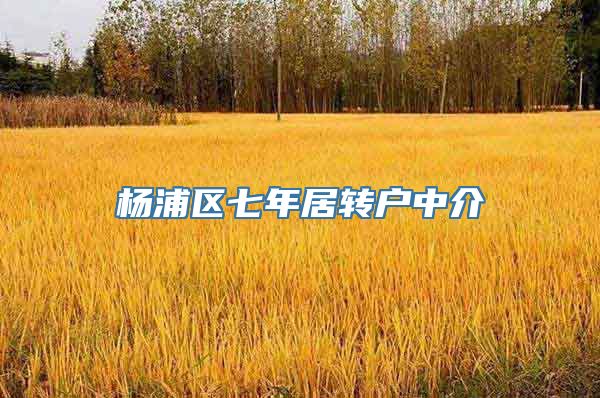 杨浦区七年居转户中介