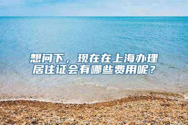 想问下，现在在上海办理居住证会有哪些费用呢？
