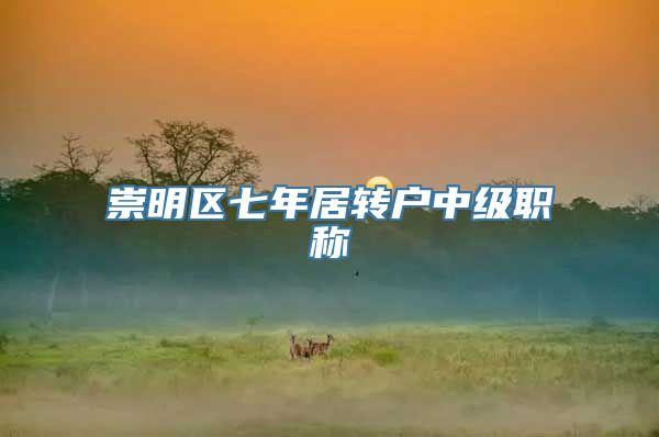 崇明区七年居转户中级职称
