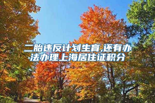二胎违反计划生育,还有办法办理上海居住证积分