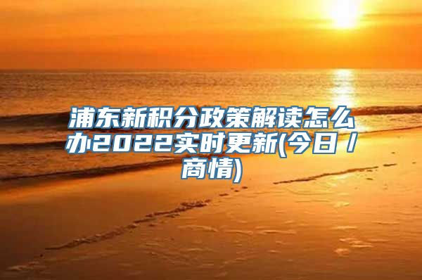 浦东新积分政策解读怎么办2022实时更新(今日／商情)