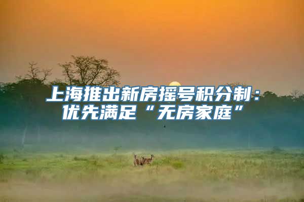 上海推出新房摇号积分制：优先满足“无房家庭”