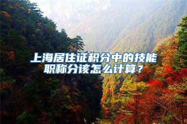 上海居住证积分中的技能职称分该怎么计算？