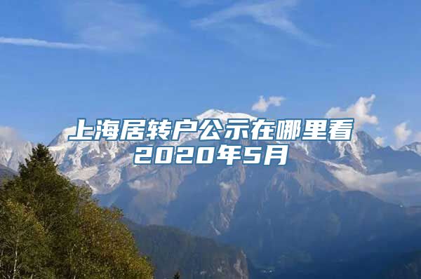 上海居转户公示在哪里看2020年5月