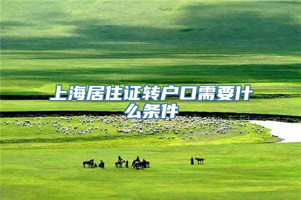 上海居住证转户口需要什么条件
