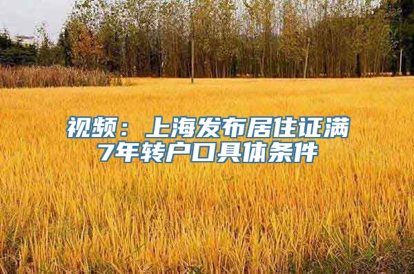 视频：上海发布居住证满7年转户口具体条件