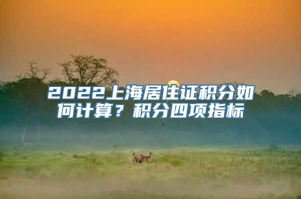 2022上海居住证积分如何计算？积分四项指标