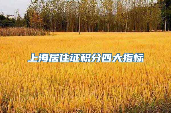 上海居住证积分四大指标
