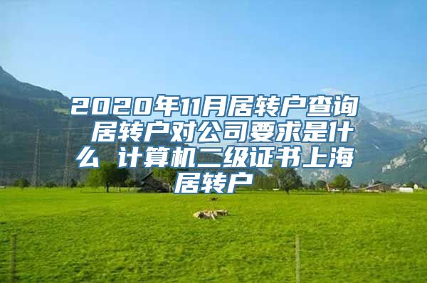 2020年11月居转户查询 居转户对公司要求是什么 计算机二级证书上海居转户