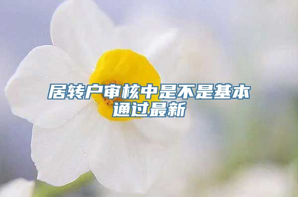 居转户审核中是不是基本通过最新