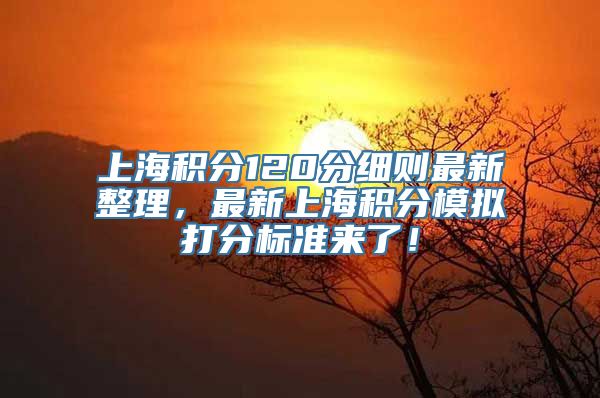 上海积分120分细则最新整理，最新上海积分模拟打分标准来了！