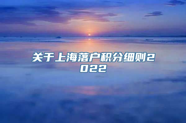 关于上海落户积分细则2022