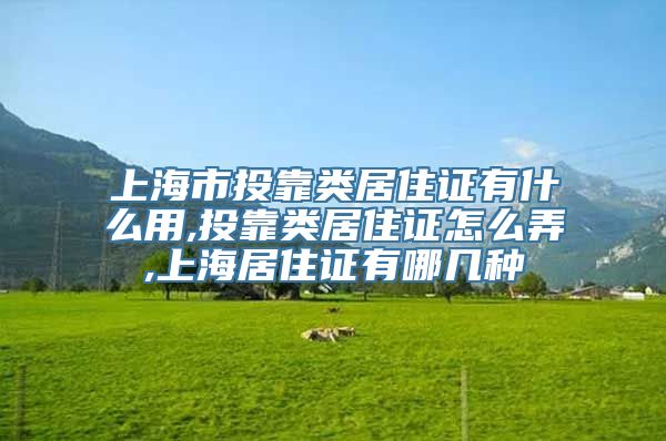 上海市投靠类居住证有什么用,投靠类居住证怎么弄,上海居住证有哪几种