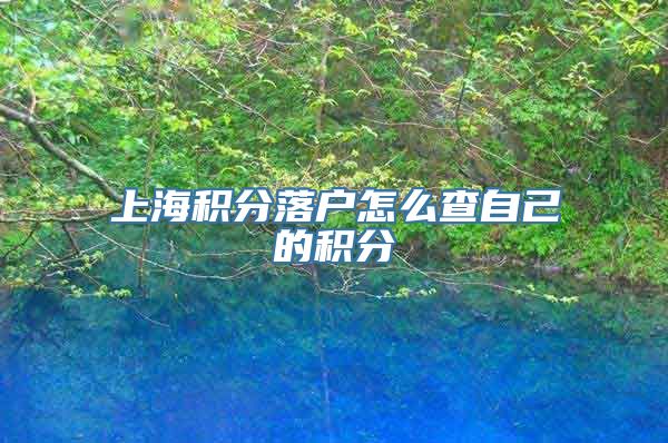 上海积分落户怎么查自己的积分