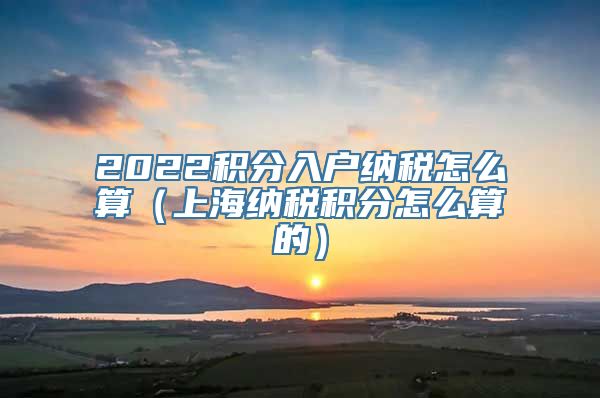 2022积分入户纳税怎么算（上海纳税积分怎么算的）