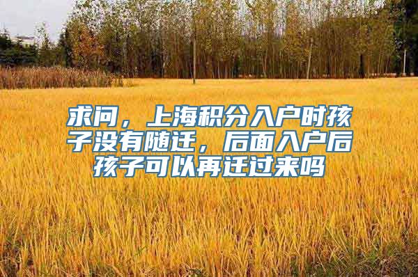 求问，上海积分入户时孩子没有随迁，后面入户后孩子可以再迁过来吗